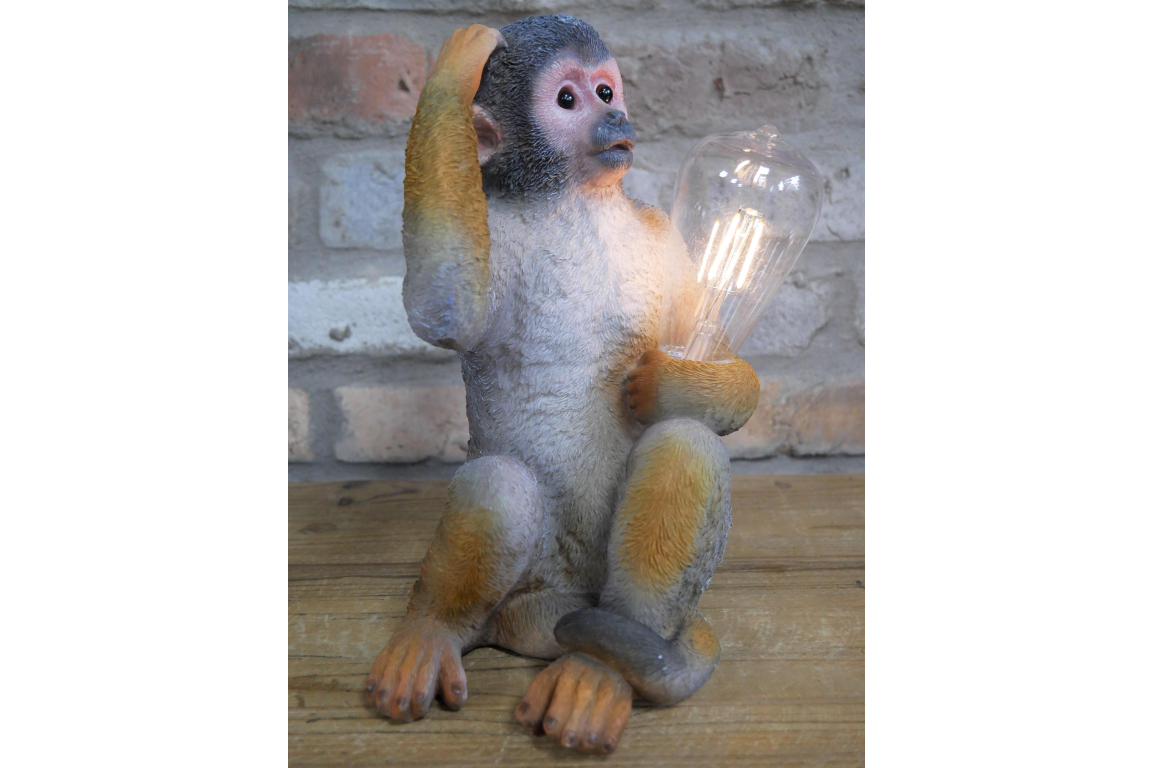 Monkey Light