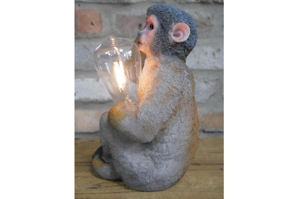 Monkey Light