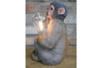 Monkey Light