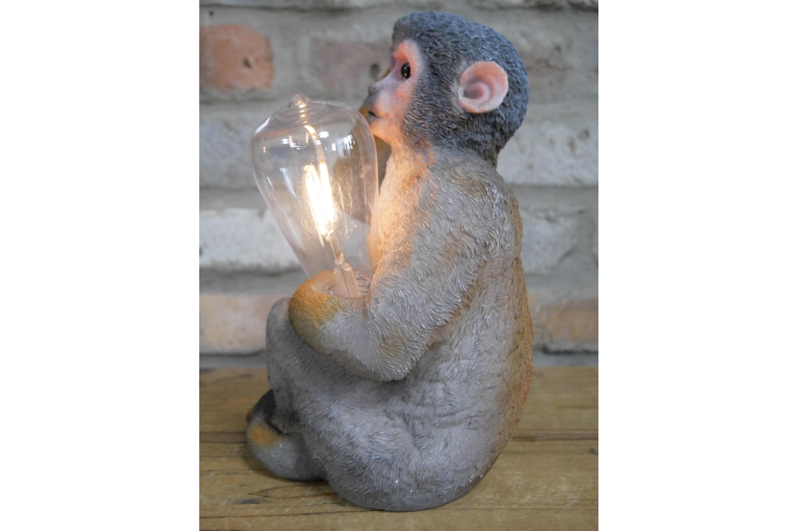 Monkey Light