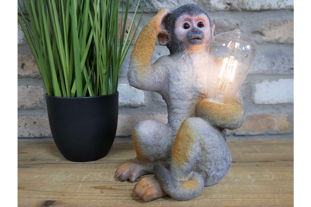 Monkey Light