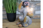 Monkey Light