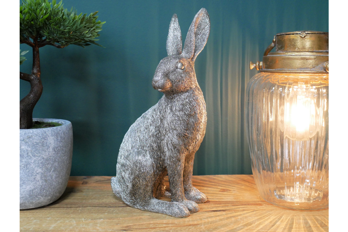 Silver Hare