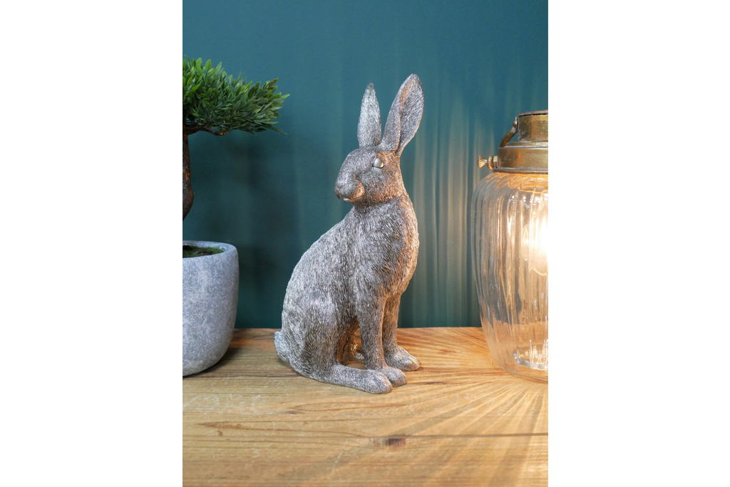 Silver Hare