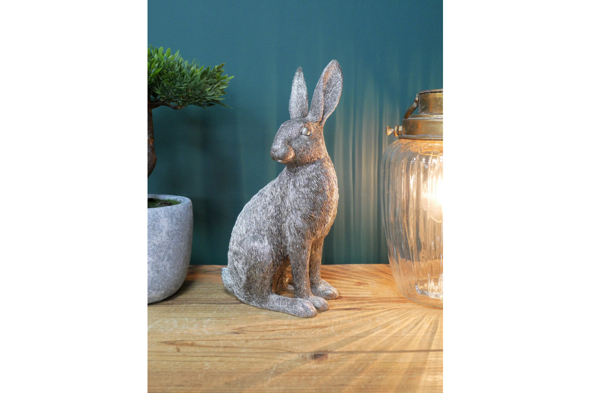 Silver Hare