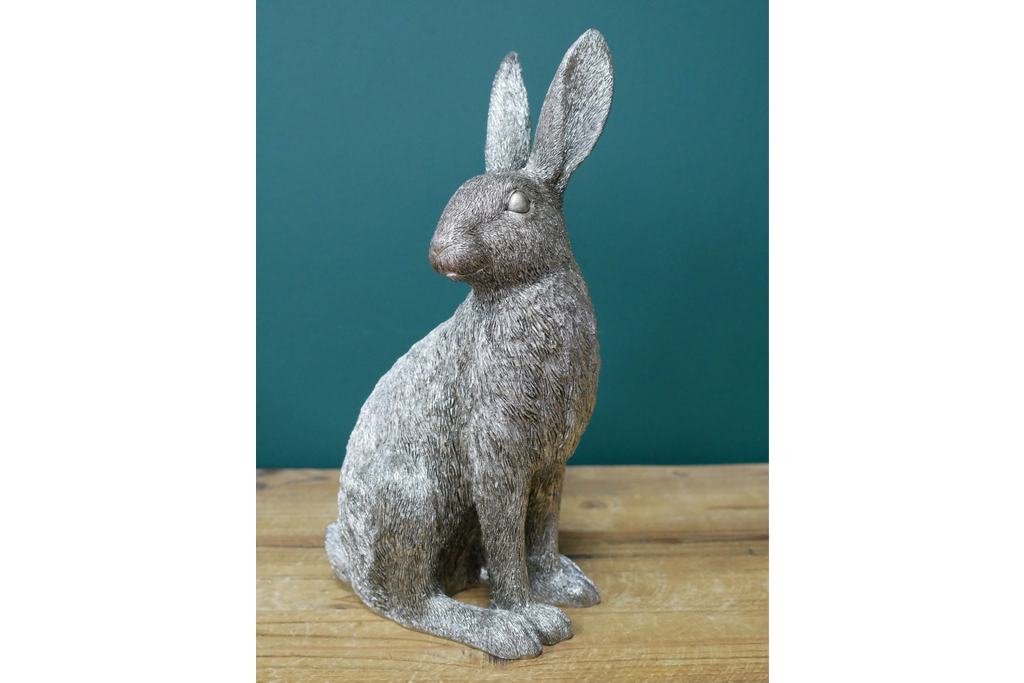 Silver Hare