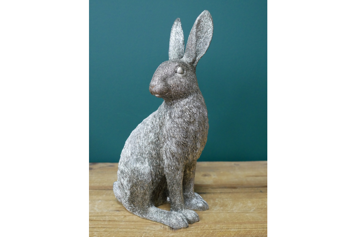 Silver Hare