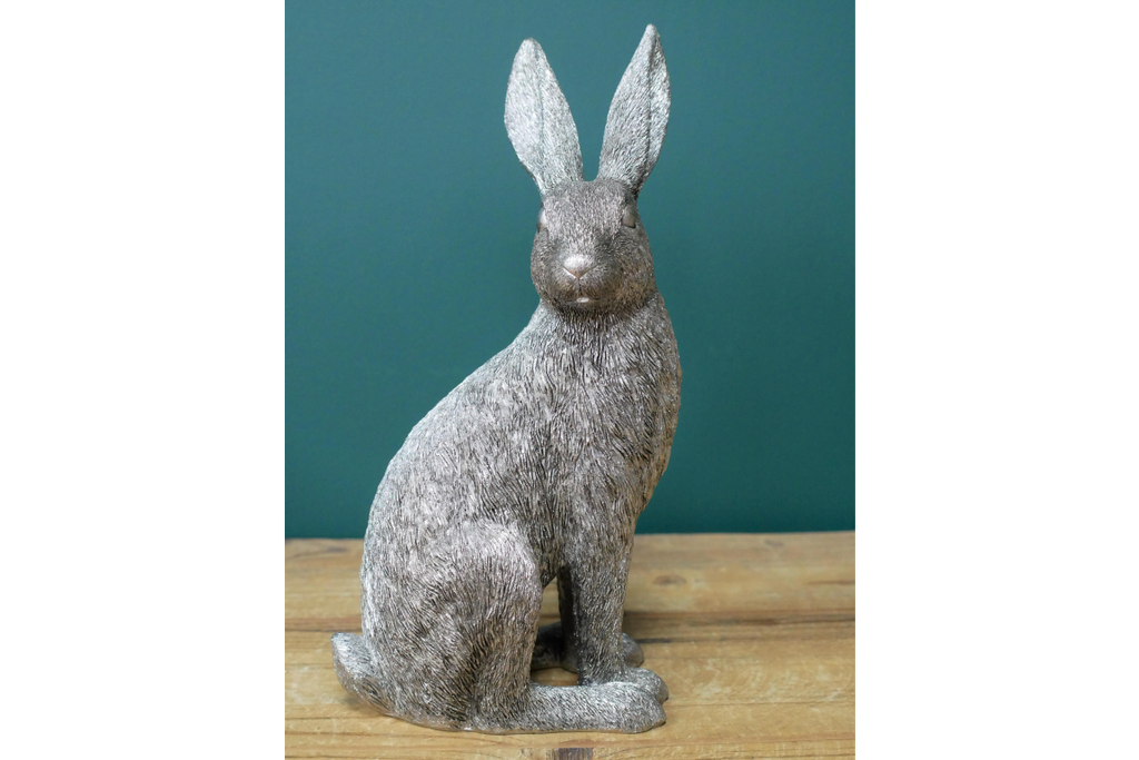 Silver Hare
