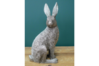 Silver Hare