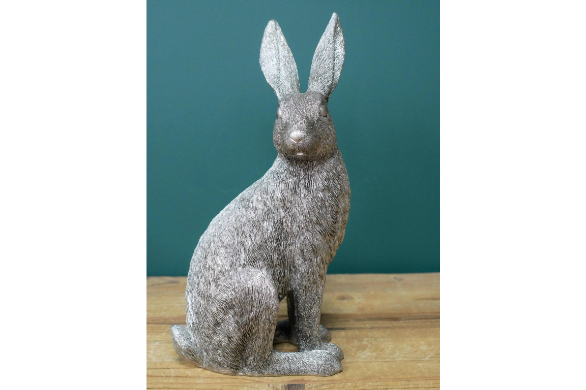 Silver Hare
