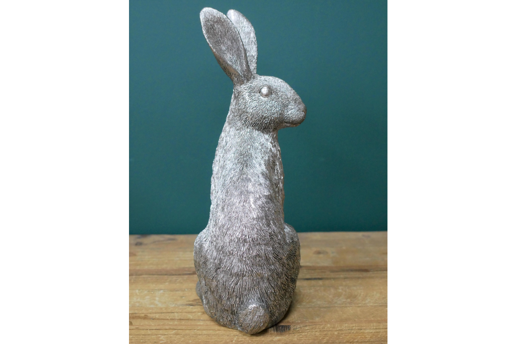 Silver Hare