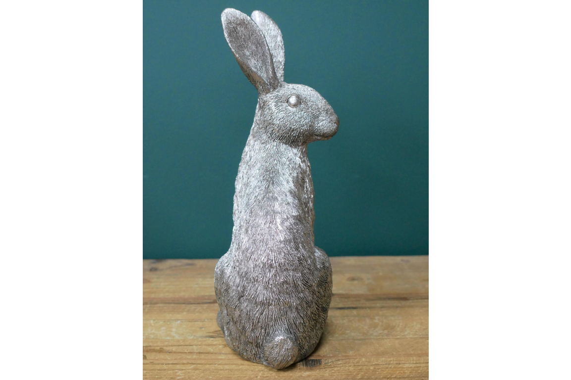 Silver Hare
