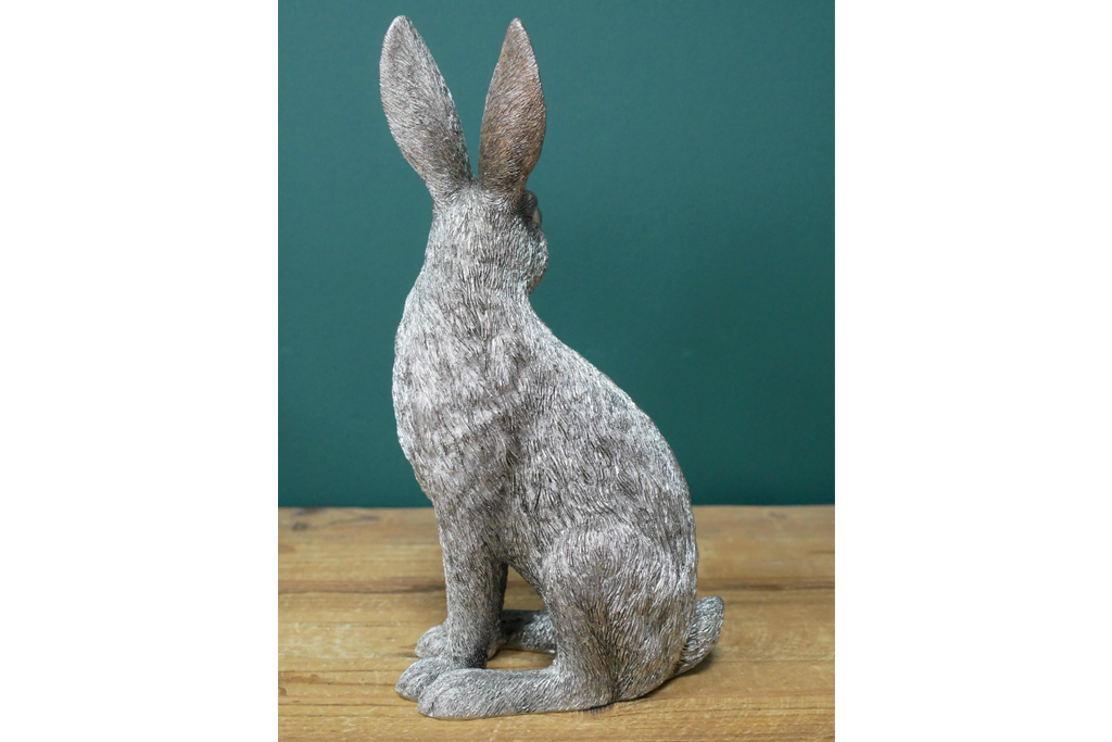 Silver Hare