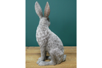 Silver Hare