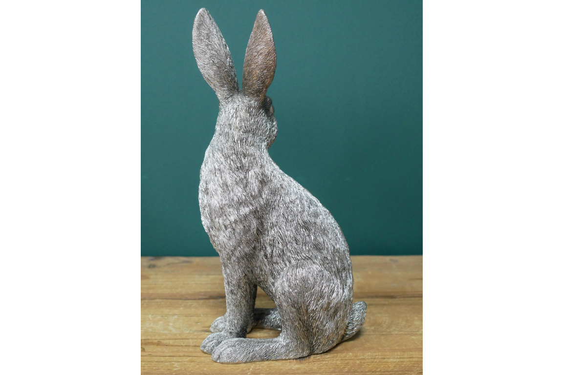 Silver Hare