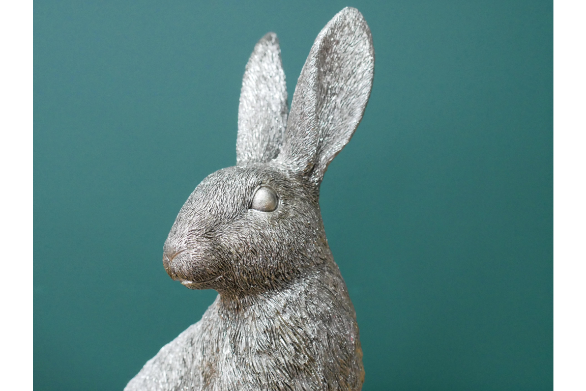 Silver Hare