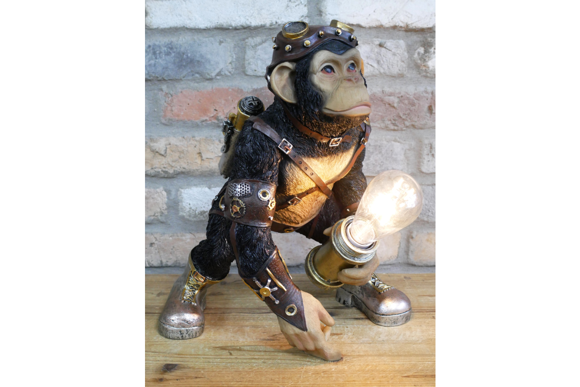 Monkey Light