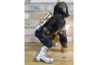 Monkey Light