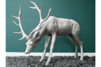 Head Down Stag