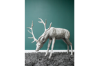Head Down Stag