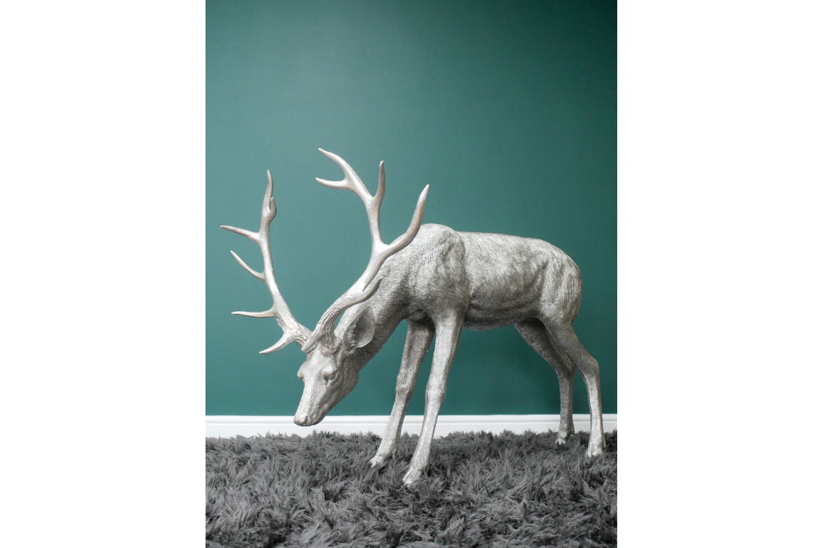Head Down Stag
