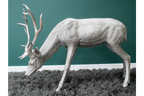Head Down Stag
