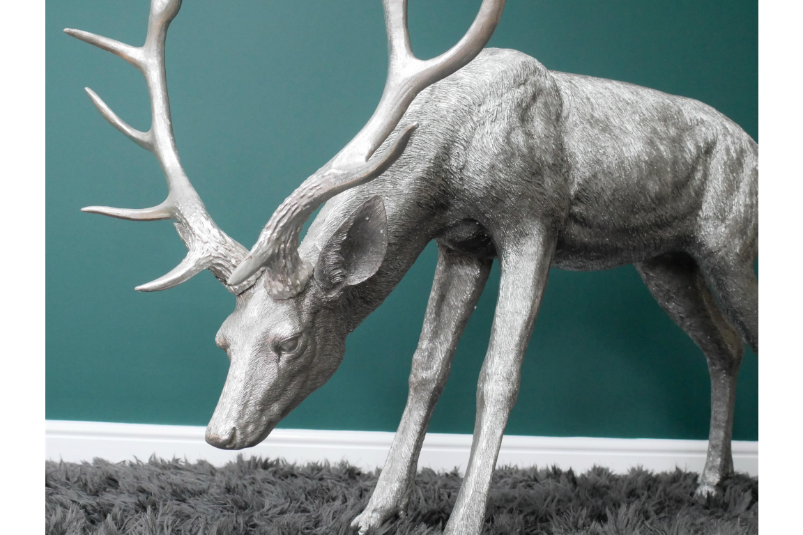 Head Down Stag