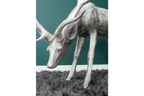 Head Down Stag