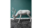Head Down Stag