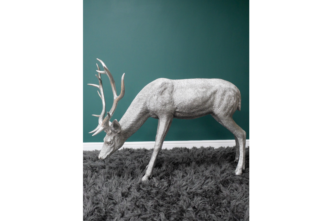 Head Down Stag