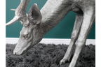 Head Down Stag