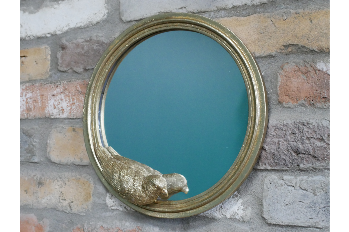 Parrot Mirror
