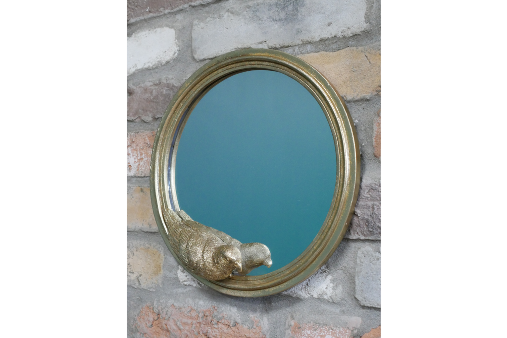 Parrot Mirror