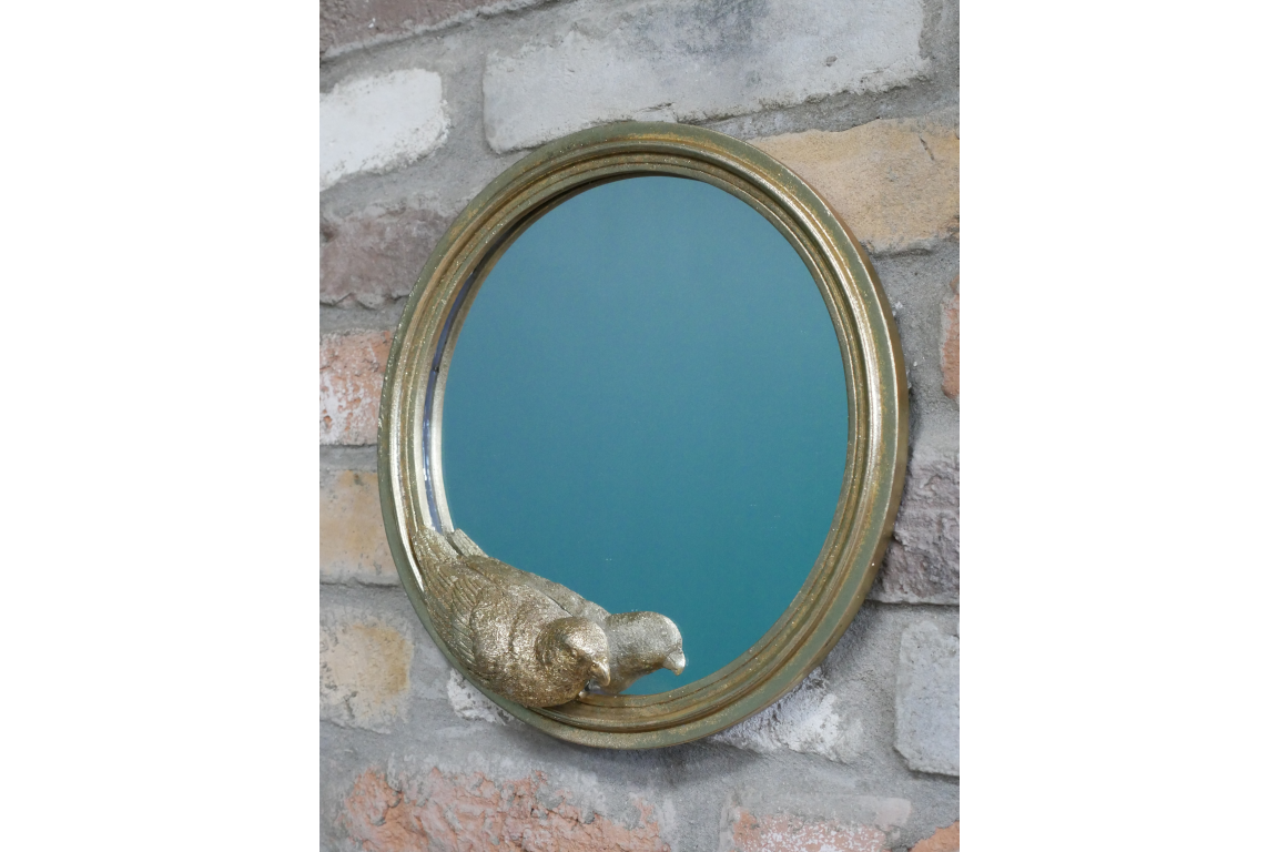 Parrot Mirror
