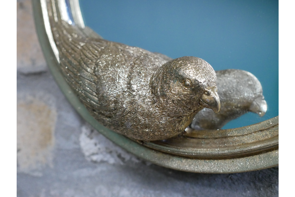 Parrot Mirror