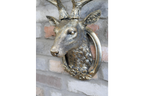 Stag Head