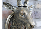 Stag Head