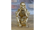 Set of 3 Skeletons