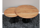 Set of 2 Coffee Tables