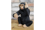 Monkey Wine Holder