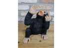 Monkey Wine Holder