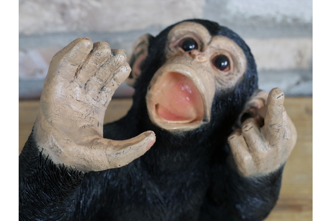 Monkey Wine Holder