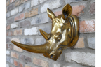 Rhino Head