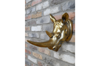 Rhino Head