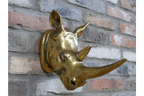 Rhino Head