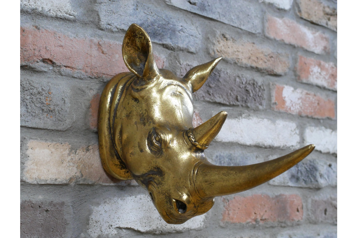 Rhino Head