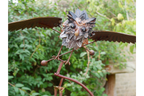 Owl Stake