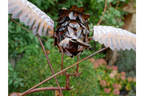 Owl Stake