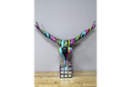 Multi Colour Man