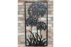 Dandelions